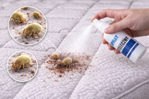 Jak pozbyć się roztoczy z materaca?